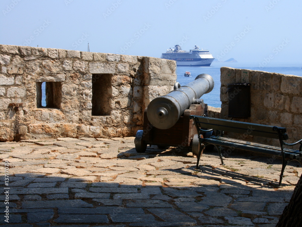 Cannon and cruise ship
