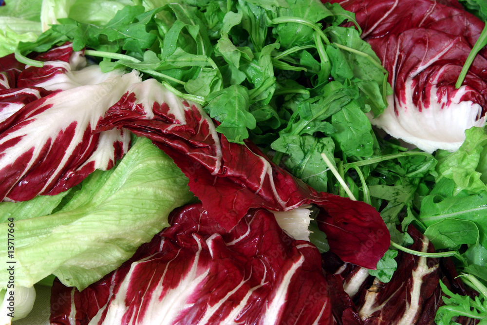 Fresh salad