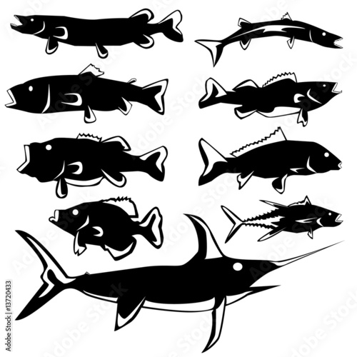 Various fish in vector silhouette
