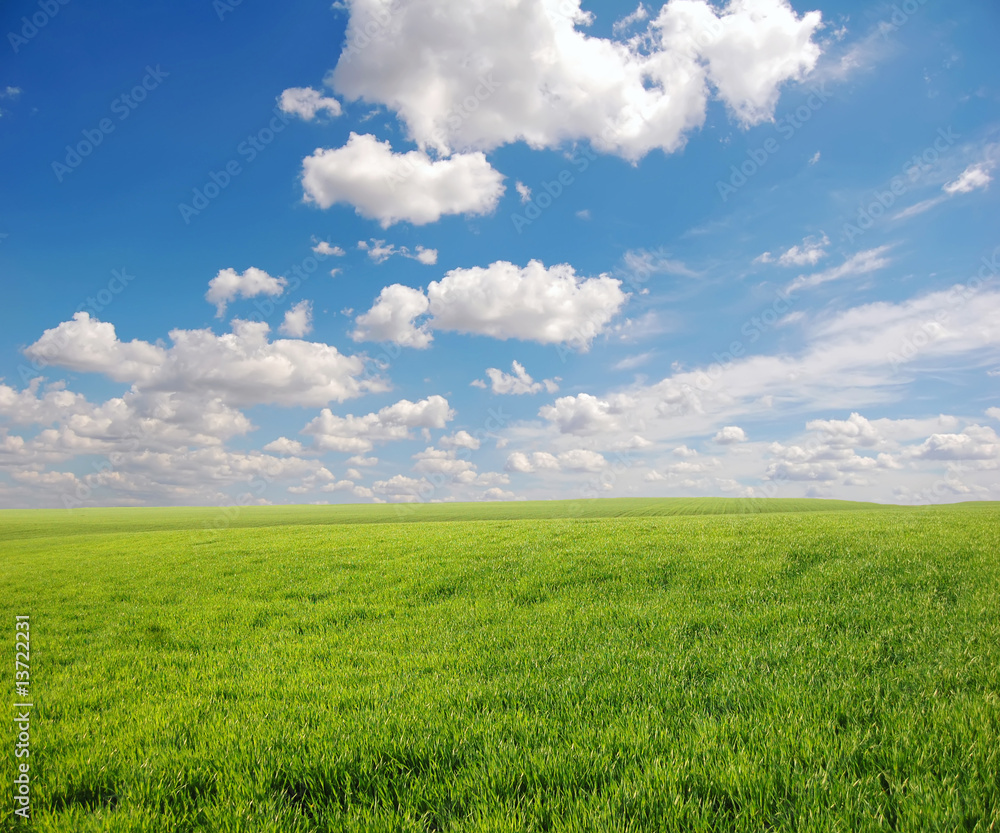 Green field and sky 6