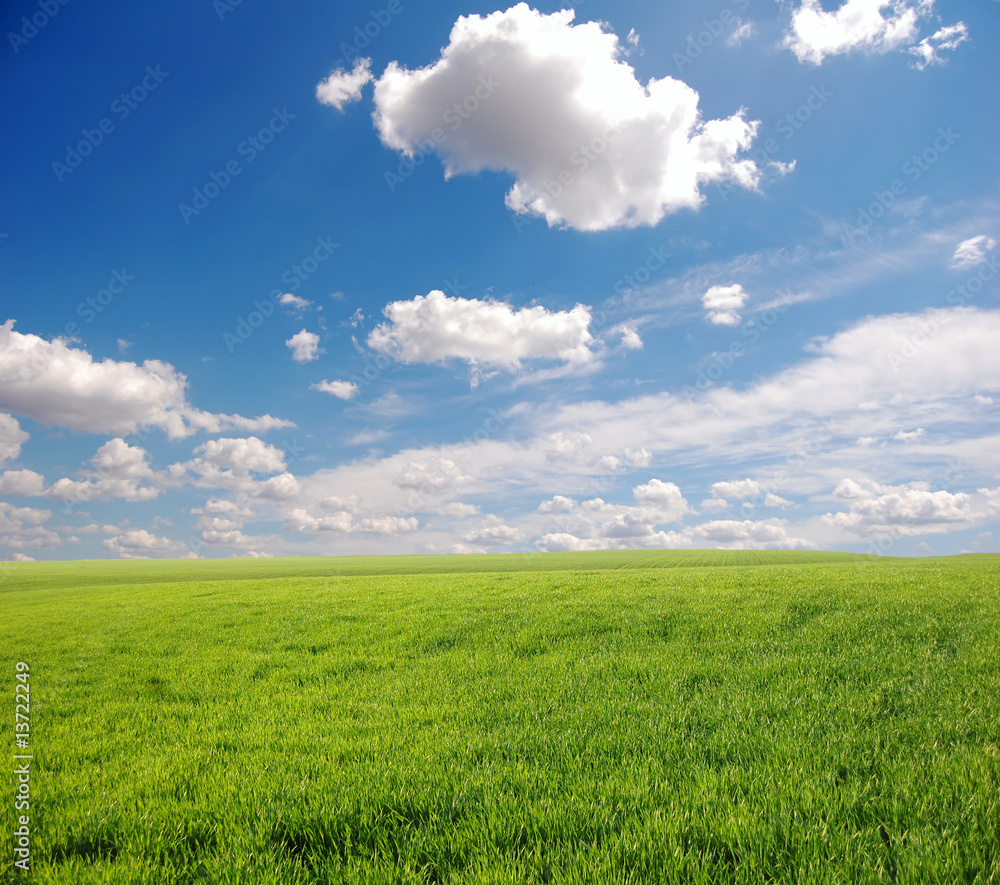 Green field and sky 5