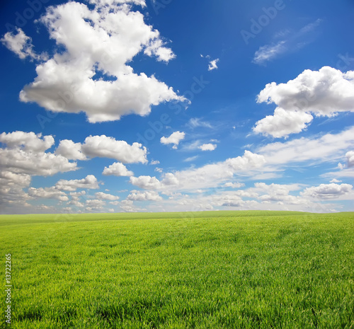 Green field and sky 4