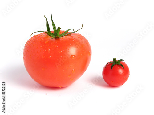 Tomato compared to cherry tomato on white background