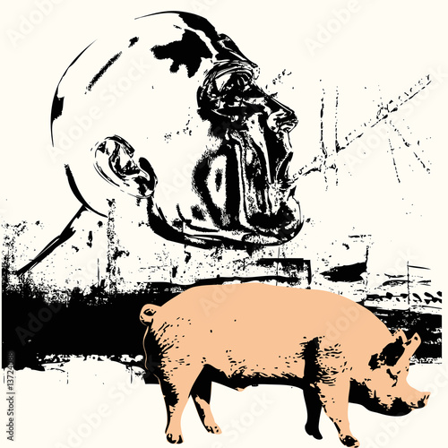 Swine Flu