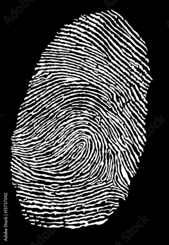 white fingerprint vector