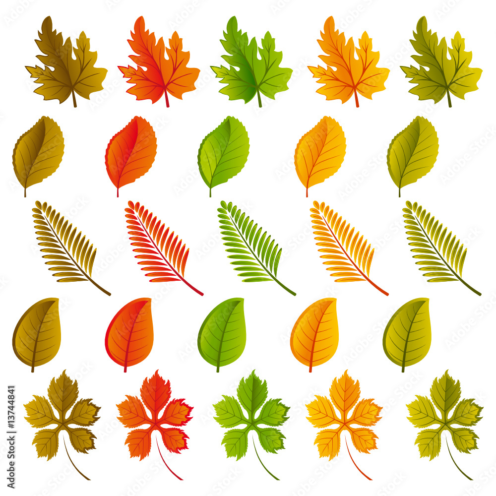 Set of leaves of various shapes and colors