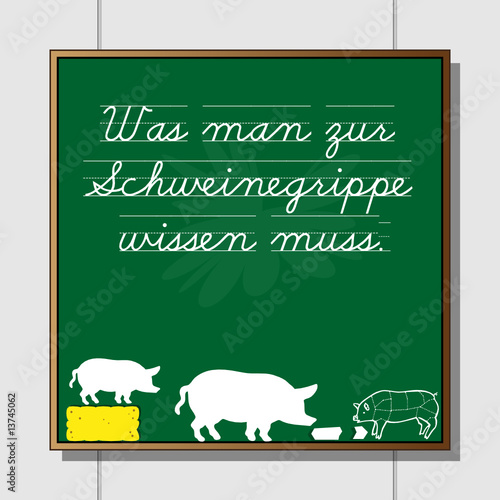 schweinegrippe