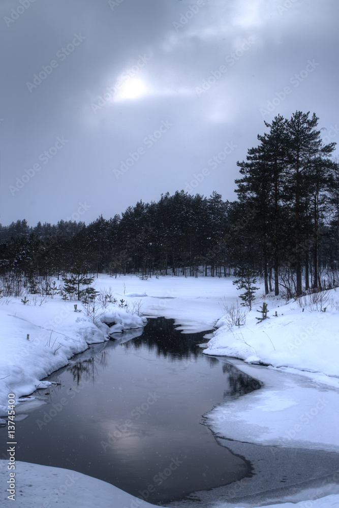 Fototapeta premium Dark winter landscape