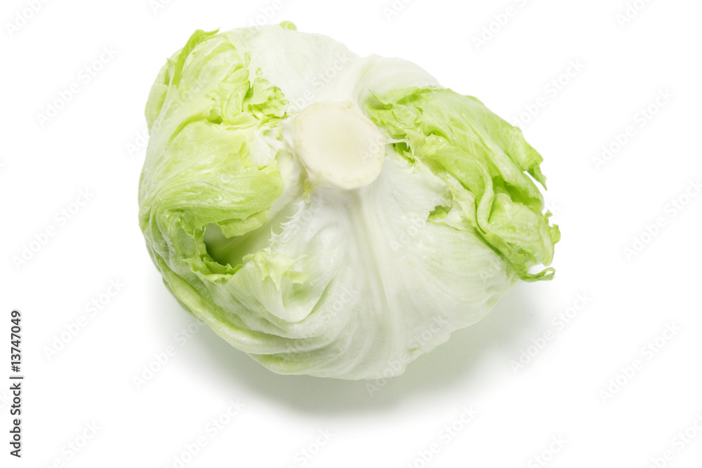 Iceberg Lettuce Iceberg Lettuce