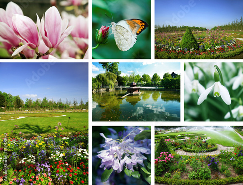 Flowers and gardens