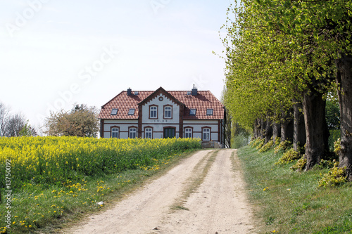 Bauernhof mit Rapsfeld in Mecklenburg