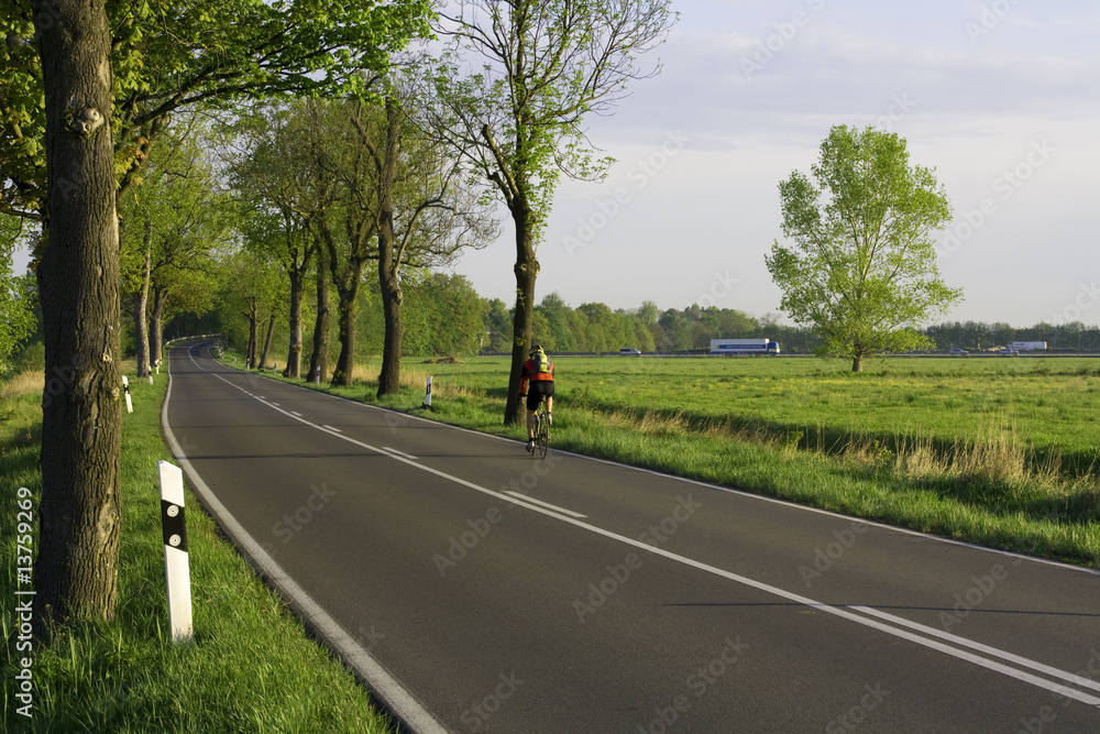 Fototapeta premium Radfahrer in der Allee