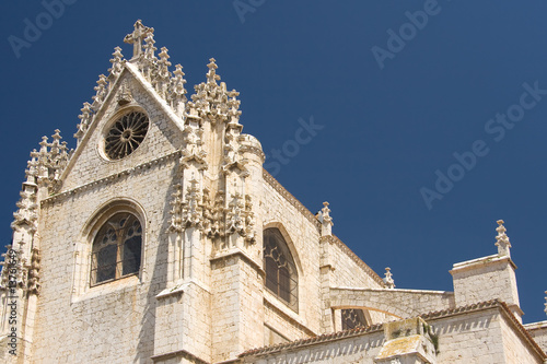Catedral de Palencia photo
