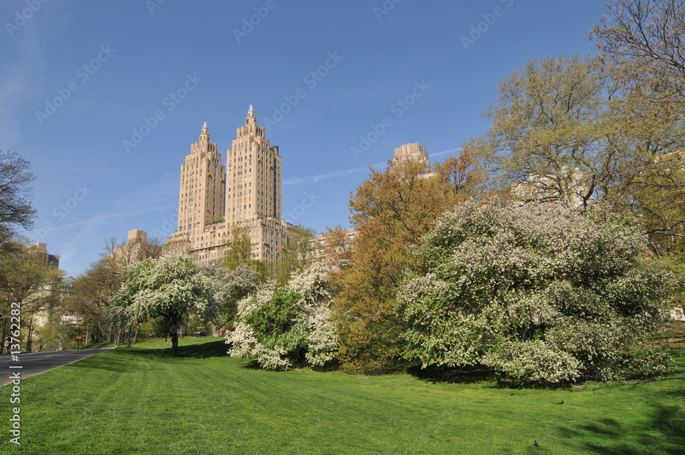 Spring in the Central Park.