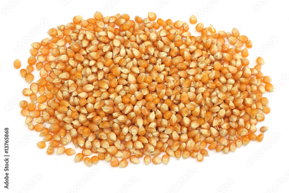 maïs pop-corn maïs pop-corn