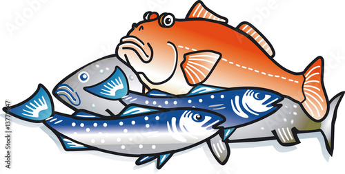 fische 4x