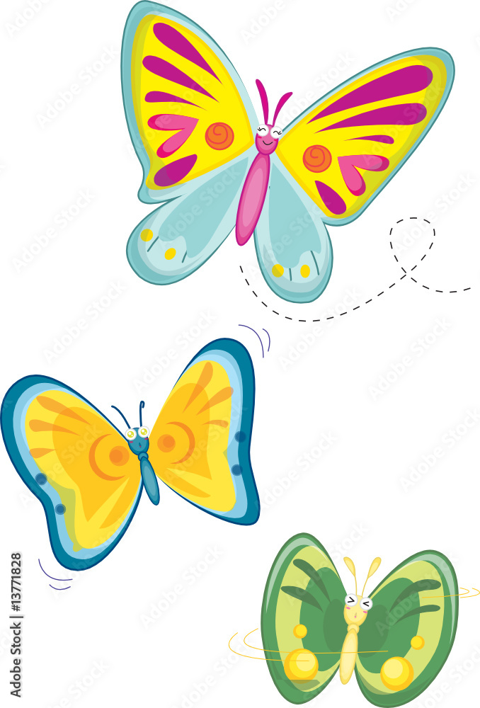 butterflies butterflies