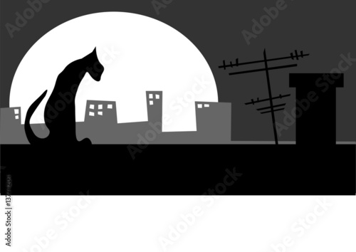 cat on the roof