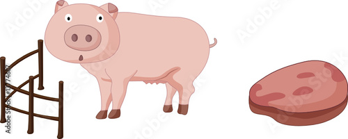 pig and pork