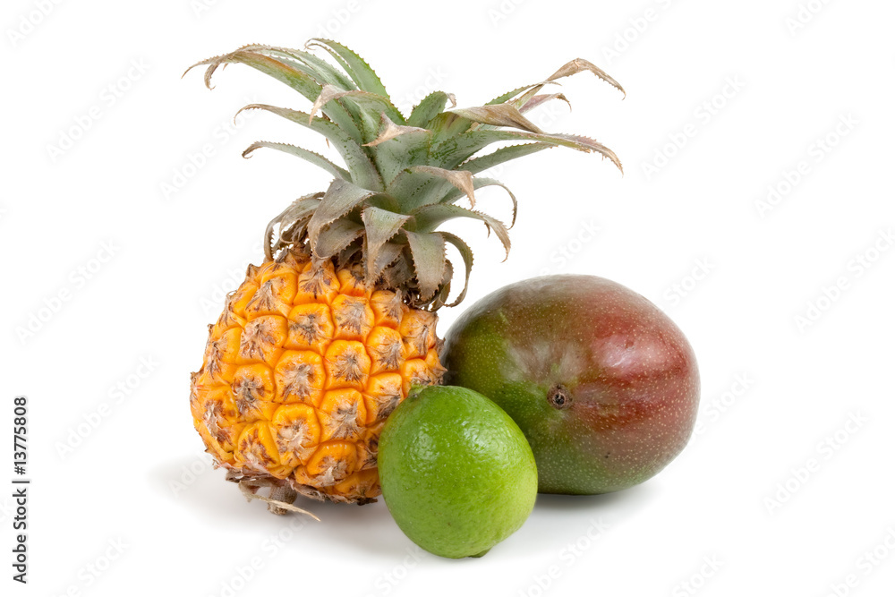 Fruits Fruits
