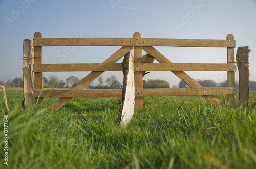 fence gate photo