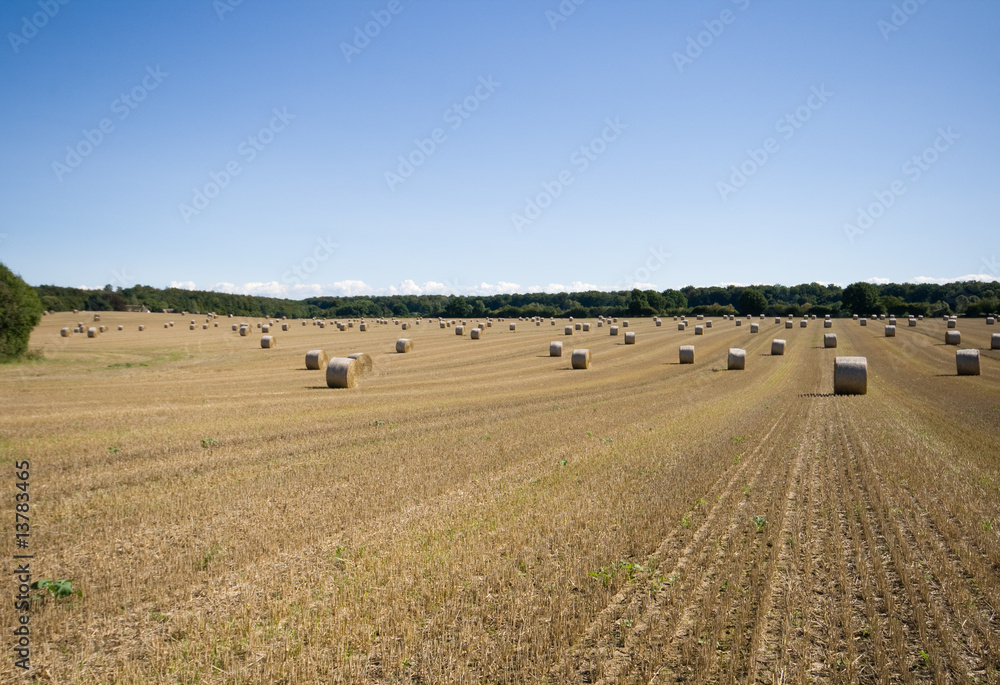 Obraz premium Rundballenacker