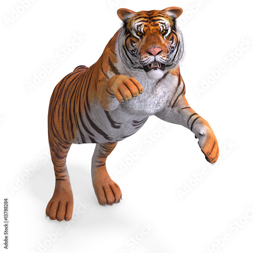 Fototapeta Naklejka Na Ścianę i Meble -  Big Cat Tiger