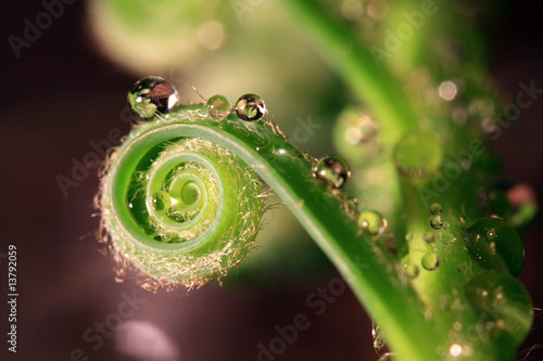 Spiral macro