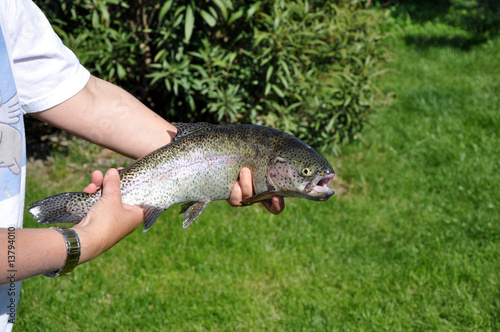 pêche à la truite