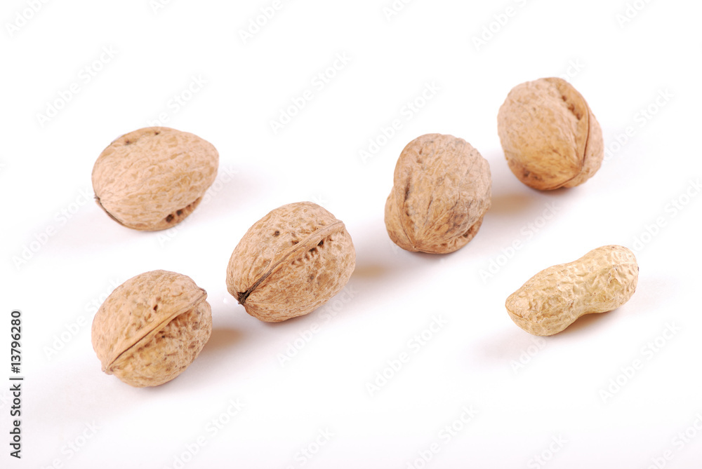 Walnut Walnut