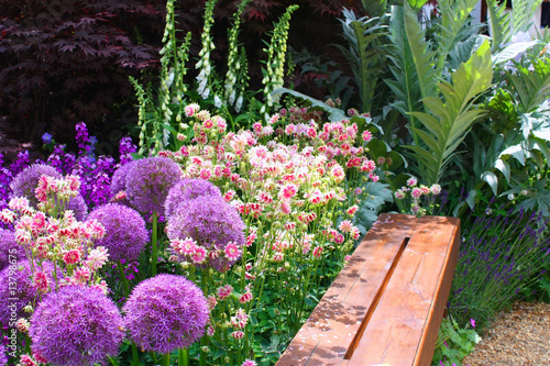 Flowers and bench photo