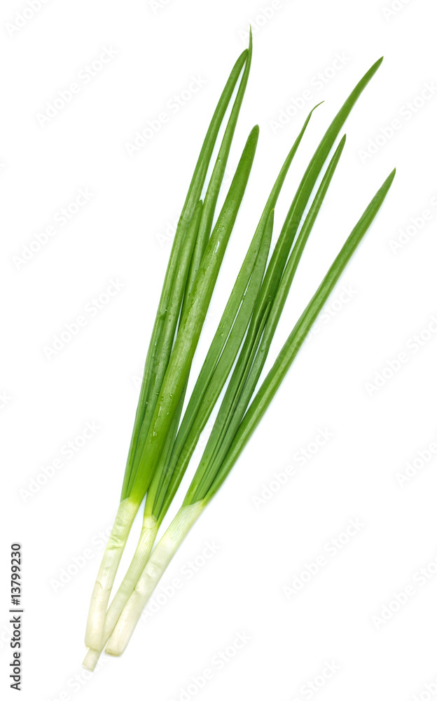 Green onion