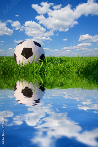 Soccer ball in grass