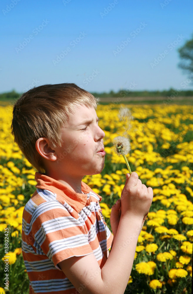 Little boy is blowing dandelion. Little boy is blowing dandelion.