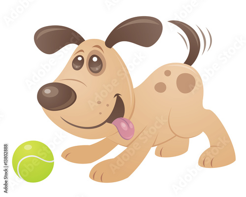 Playful Puppy