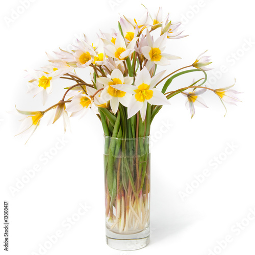 Fototapeta Naklejka Na Ścianę i Meble -  First spring flowers