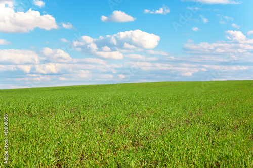 Bright paints in the field