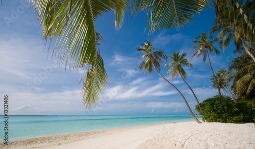 Tropischer einsamer Strand