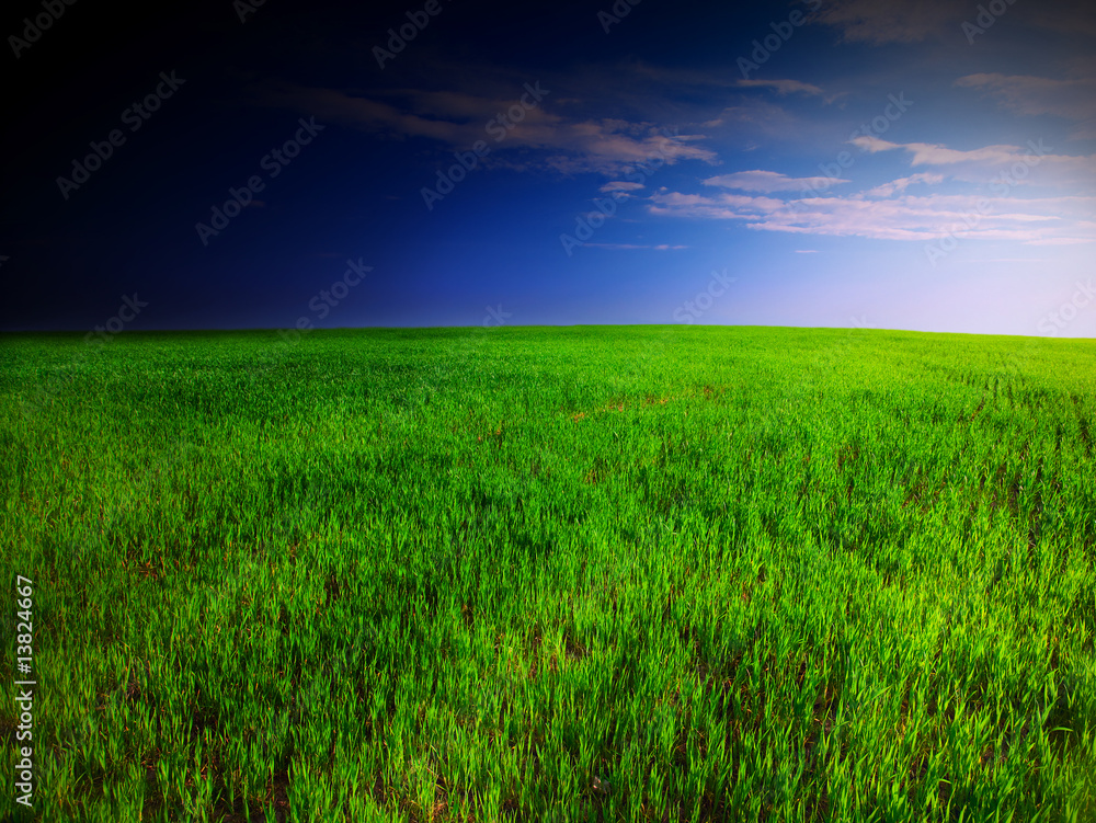 Obraz premium Beautiful landscape