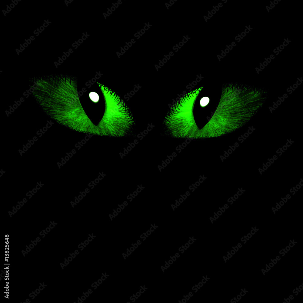 Two feline eyes