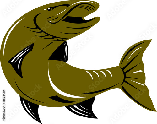 Pike fish