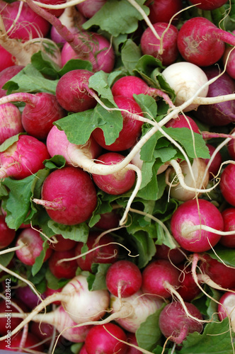 Fresh radishes . Can be used for background