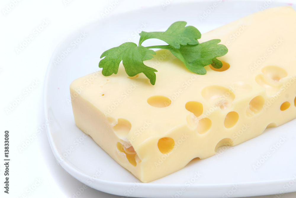 cheese on plate isolated