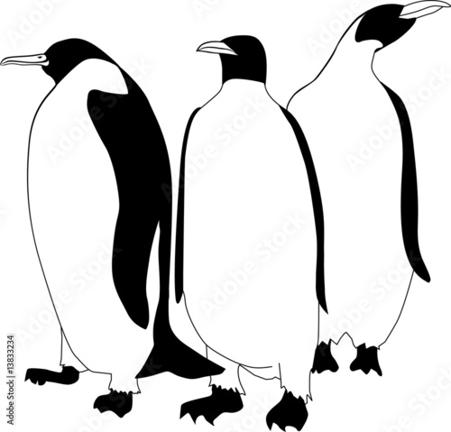 Pinguine