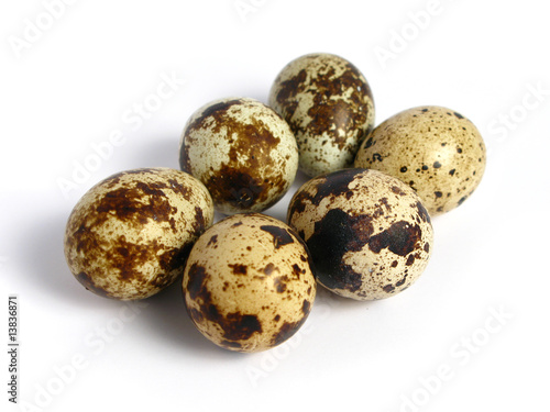 Quail Eggs on white background