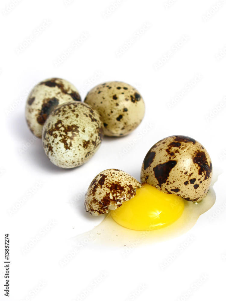 Quail Egg broken on white background