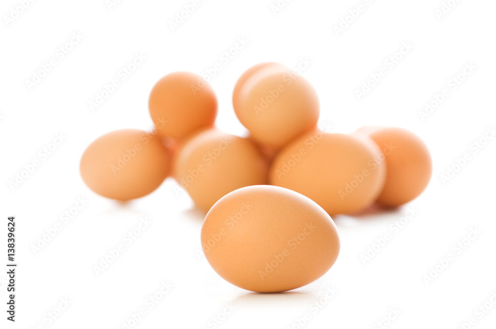 Brown egg on white - shallow depth of field Brown egg on white - shallow depth of field