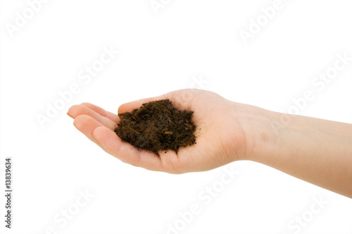 Hand holding handful of soil isolated on white