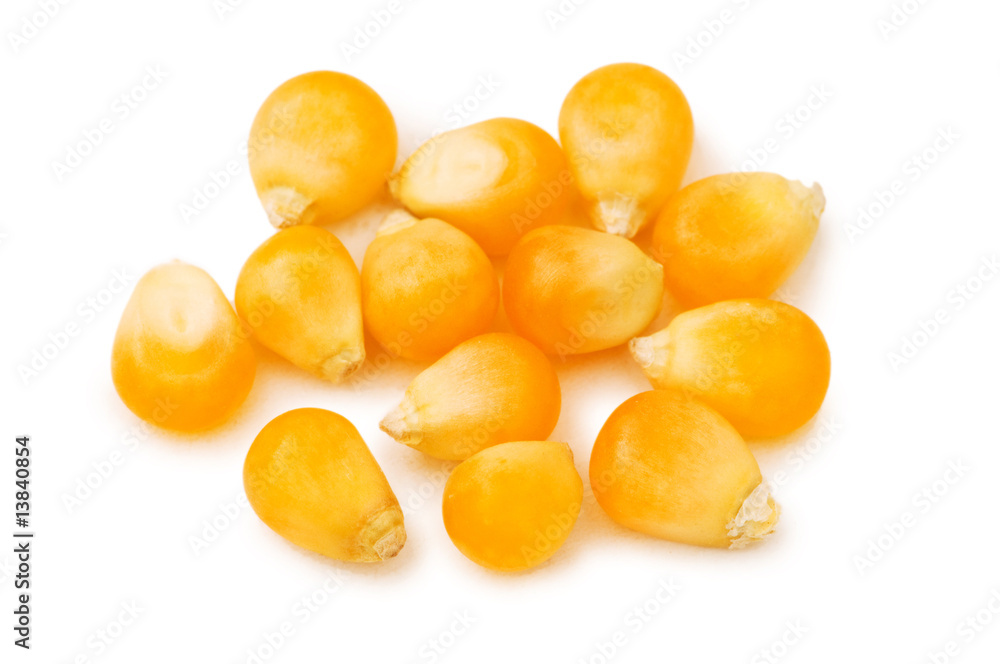 Corn seeds isolated on the white background Corn seeds isolated on the white background