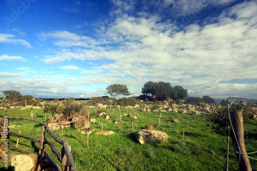 Sardegna,La favolosa piana di Gesturi. photo